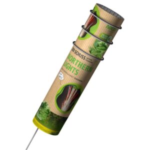 Feuerwerk 2025 ~ Northern Lights 300-Schuss-Römische-Lichterbatterie online bestellen